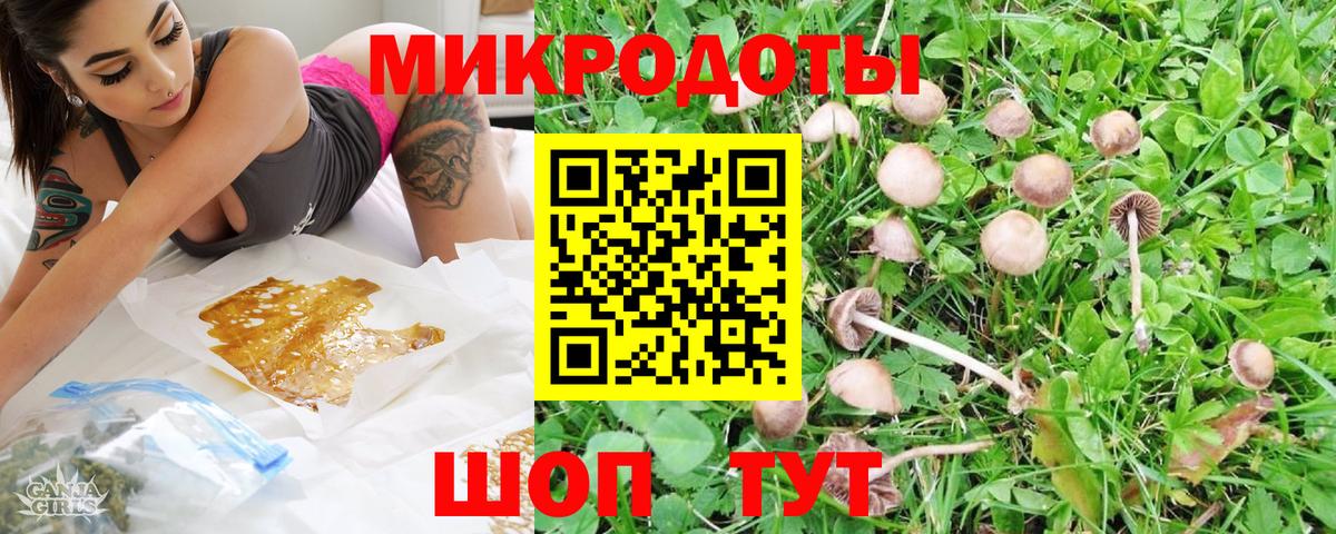 Псилоцибиновые грибы мухоморы  Вход с VPN  Гусиноозёрск 