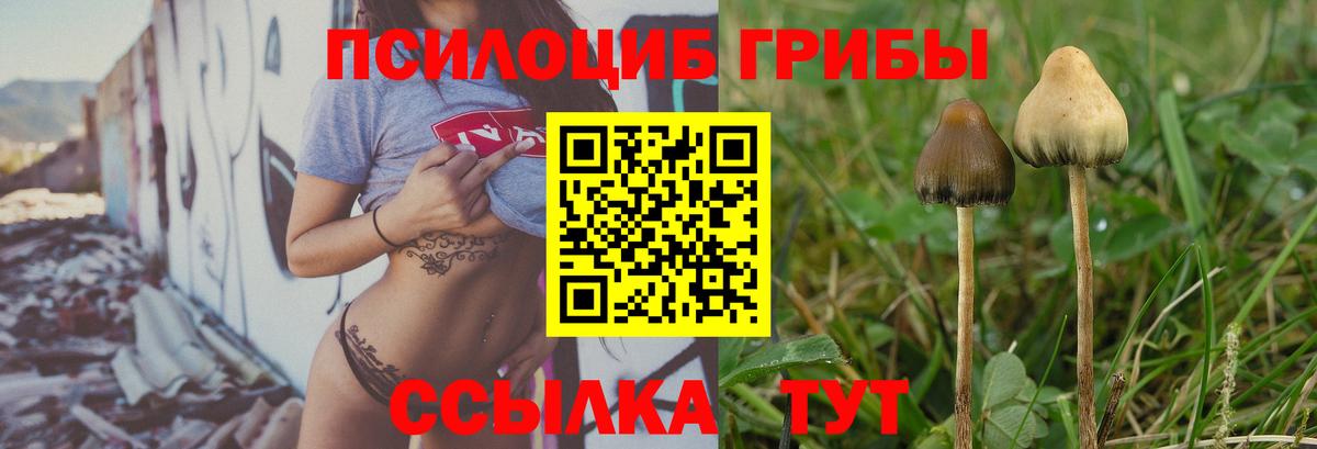 Галлюциногенные грибы Magic Shrooms Гусиноозёрск